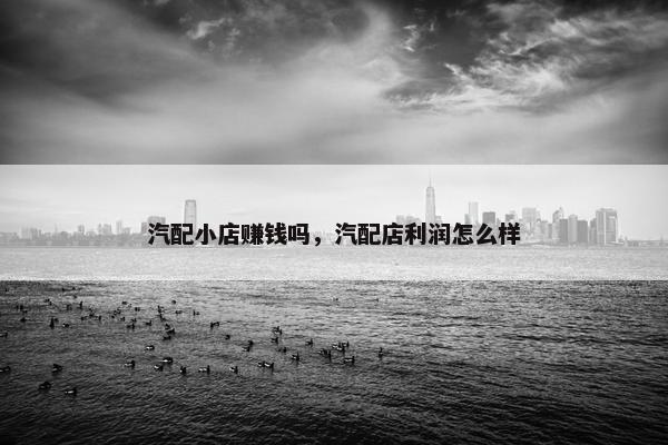 汽配小店赚钱吗，汽配店利润怎么样