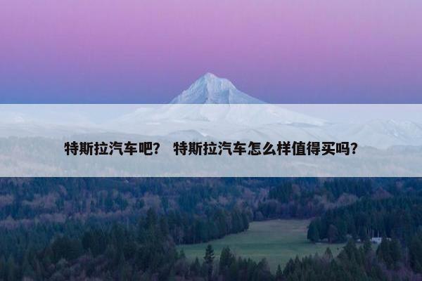 特斯拉汽车吧？ 特斯拉汽车怎么样值得买吗？
