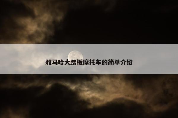 雅马哈大踏板摩托车的简单介绍