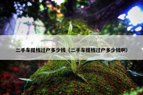 二手车提档过户多少钱（二手车提档过户多少钱啊）