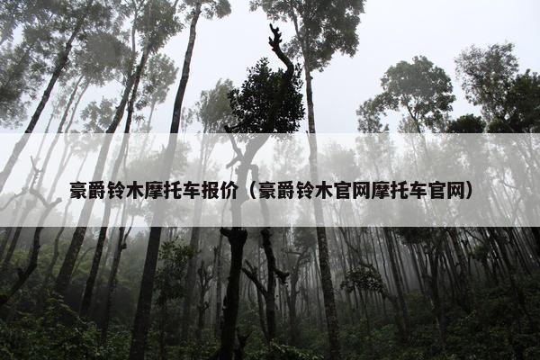 豪爵铃木摩托车报价（豪爵铃木官网摩托车官网）