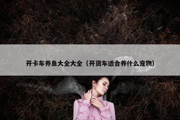 开卡车养鱼大全大全（开货车适合养什么宠物）