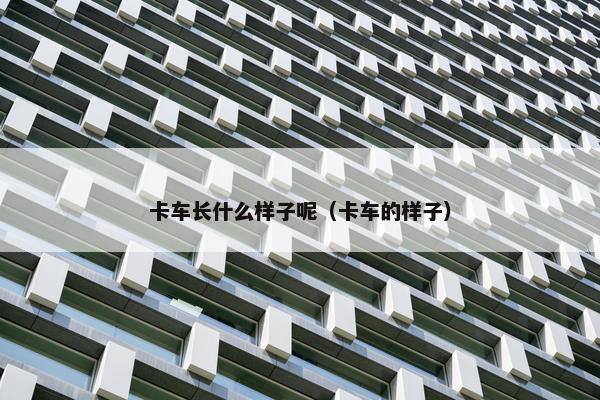 卡车长什么样子呢（卡车的样子）