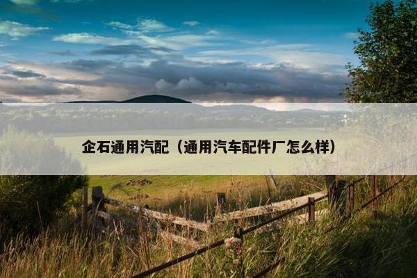 企石通用汽配（通用汽车配件厂怎么样）