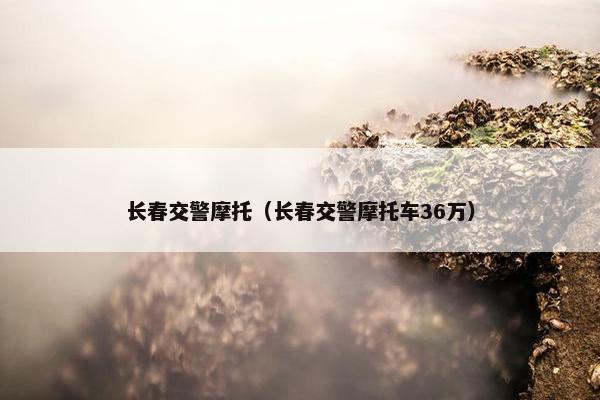 长春交警摩托（长春交警摩托车36万）