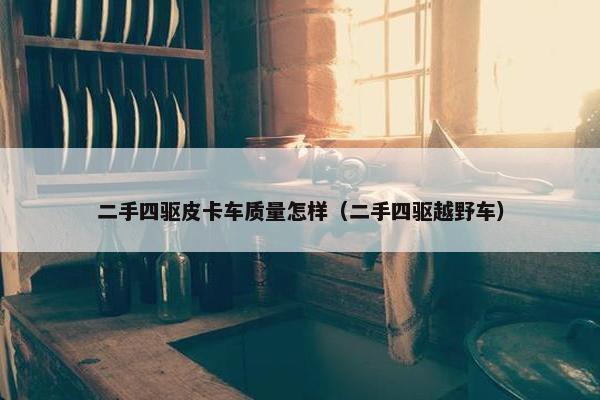 二手四驱皮卡车质量怎样（二手四驱越野车）