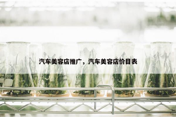 汽车美容店推广，汽车美容店价目表