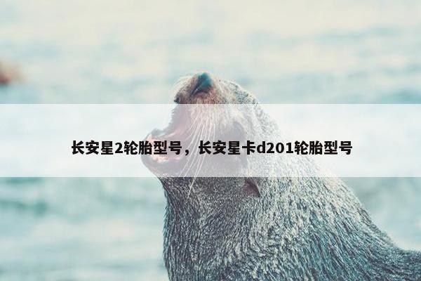 长安星2轮胎型号，长安星卡d201轮胎型号