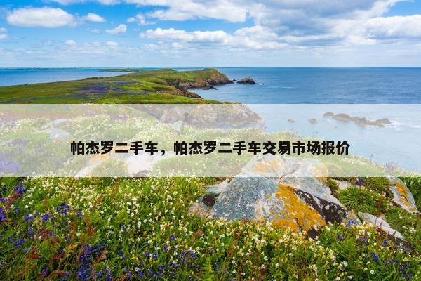 帕杰罗二手车，帕杰罗二手车交易市场报价