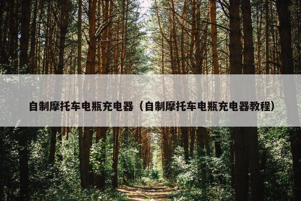 自制摩托车电瓶充电器（自制摩托车电瓶充电器教程）