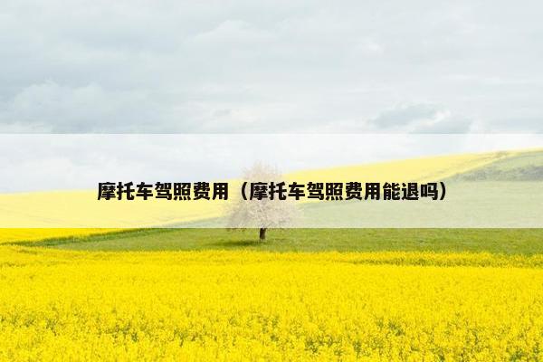 摩托车驾照费用（摩托车驾照费用能退吗）