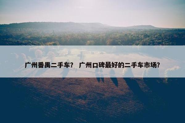 广州番禺二手车？ 广州口碑最好的二手车市场？