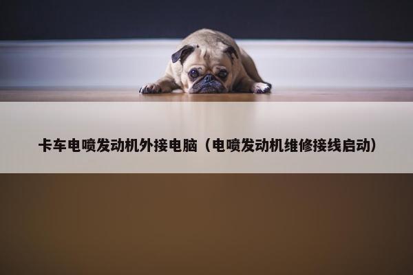 卡车电喷发动机外接电脑（电喷发动机维修接线启动）