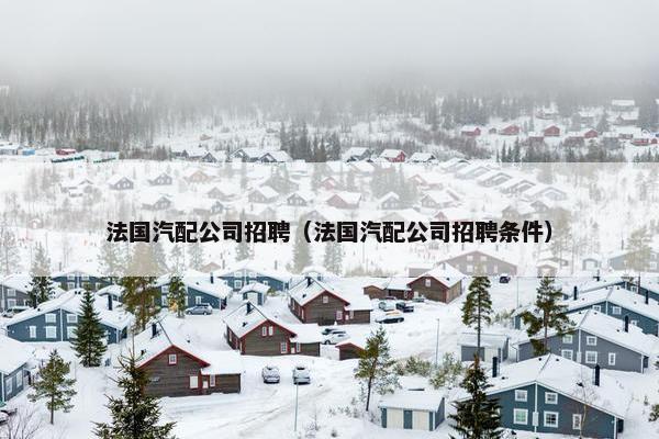 法国汽配公司招聘（法国汽配公司招聘条件）