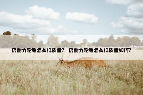 倍耐力轮胎怎么样质量？ 倍耐力轮胎怎么样质量如何？