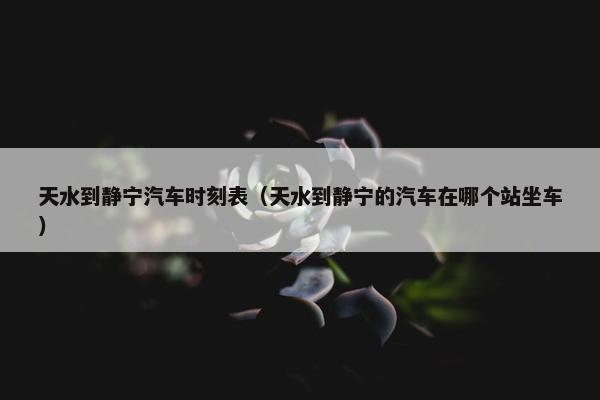 天水到静宁汽车时刻表（天水到静宁的汽车在哪个站坐车）