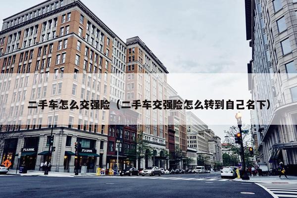 二手车怎么交强险（二手车交强险怎么转到自己名下）