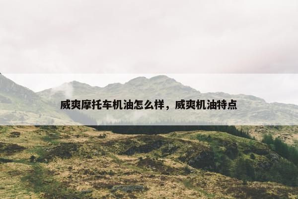 威爽摩托车机油怎么样，威爽机油特点