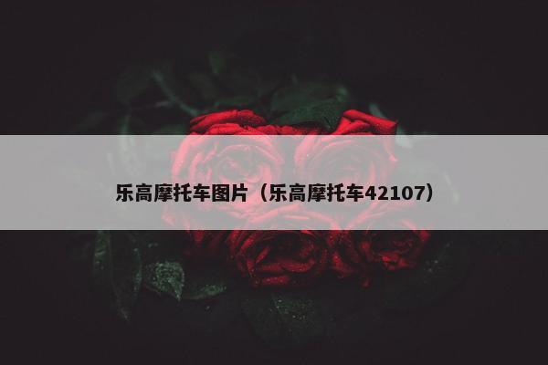 乐高摩托车图片（乐高摩托车42107）