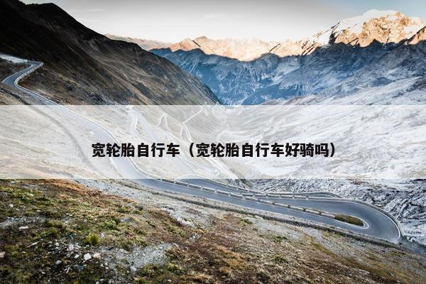 宽轮胎自行车（宽轮胎自行车好骑吗）