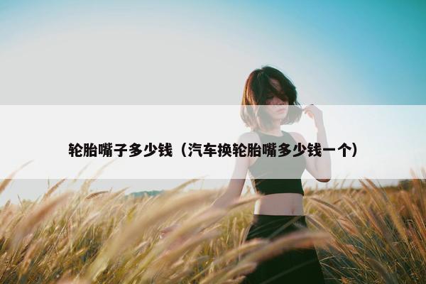 轮胎嘴子多少钱（汽车换轮胎嘴多少钱一个）