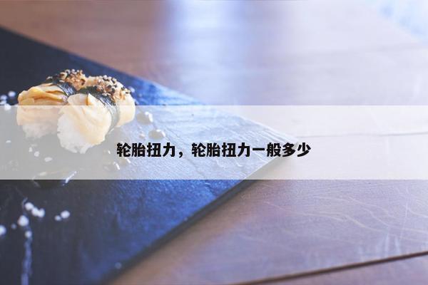 轮胎扭力，轮胎扭力一般多少