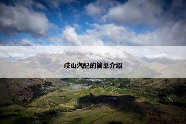 岐山汽配的简单介绍