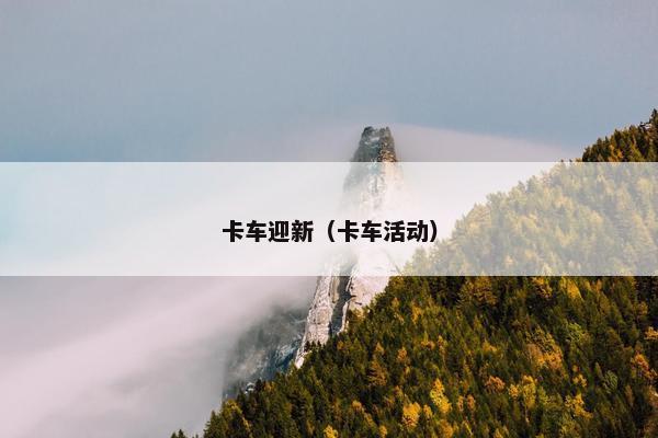 卡车迎新（卡车活动）