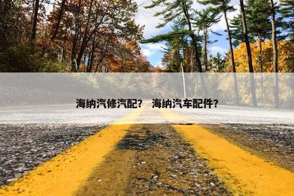 海纳汽修汽配？ 海纳汽车配件？