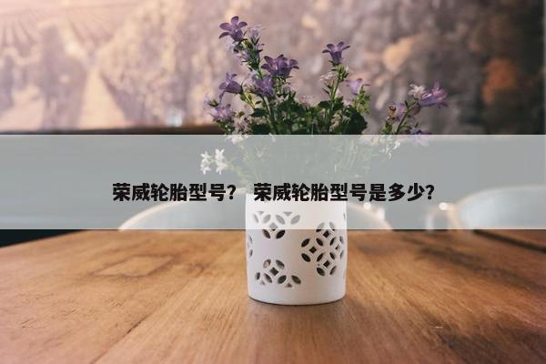 荣威轮胎型号？ 荣威轮胎型号是多少？