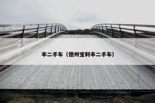 丰二手车（德州宝利丰二手车）