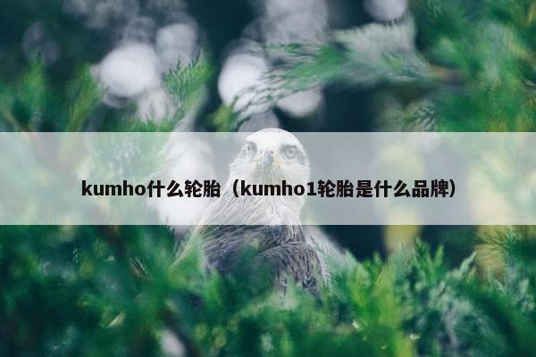 kumho什么轮胎（kumho1轮胎是什么品牌）