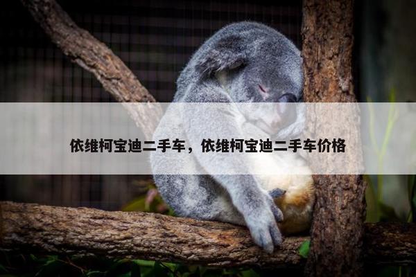 依维柯宝迪二手车，依维柯宝迪二手车价格