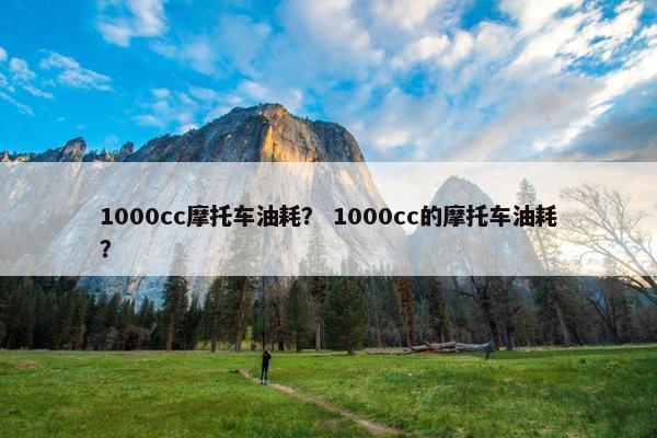 1000cc摩托车油耗？ 1000cc的摩托车油耗？