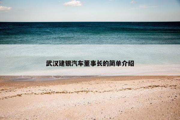 武汉建银汽车董事长的简单介绍