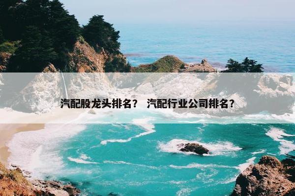 汽配股龙头排名？ 汽配行业公司排名？