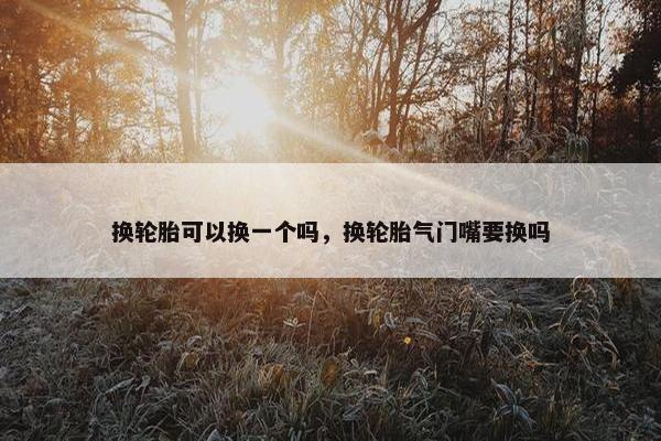 换轮胎可以换一个吗，换轮胎气门嘴要换吗