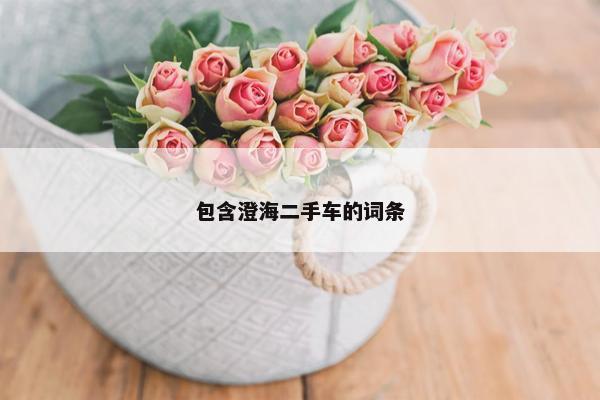 包含澄海二手车的词条