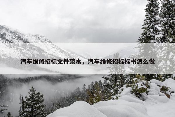 汽车维修招标文件范本，汽车维修招标标书怎么做