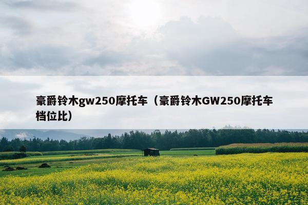 豪爵铃木gw250摩托车（豪爵铃木GW250摩托车档位比）