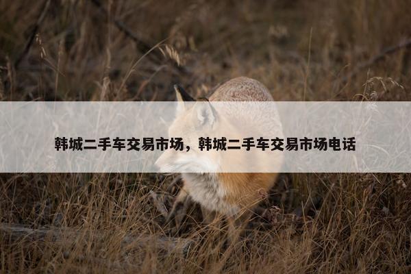 韩城二手车交易市场，韩城二手车交易市场电话