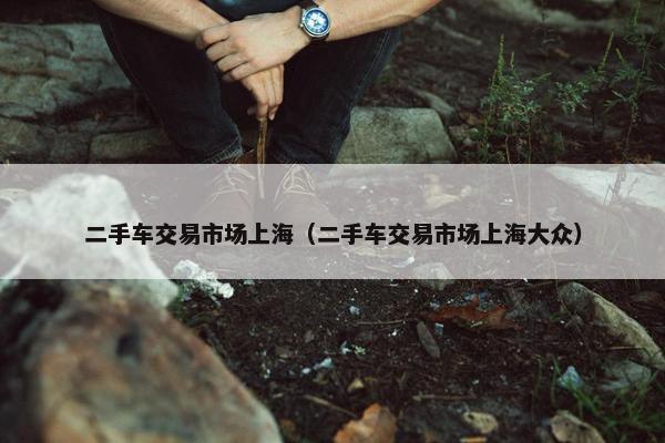 二手车交易市场上海（二手车交易市场上海大众）