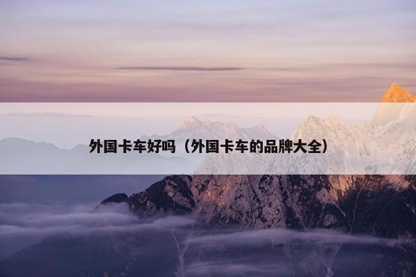 外国卡车好吗（外国卡车的品牌大全）