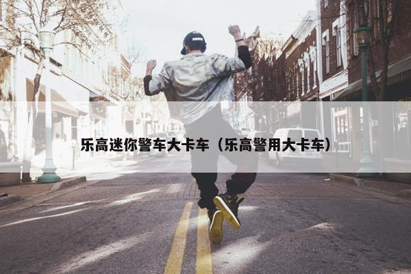 乐高迷你警车大卡车（乐高警用大卡车）