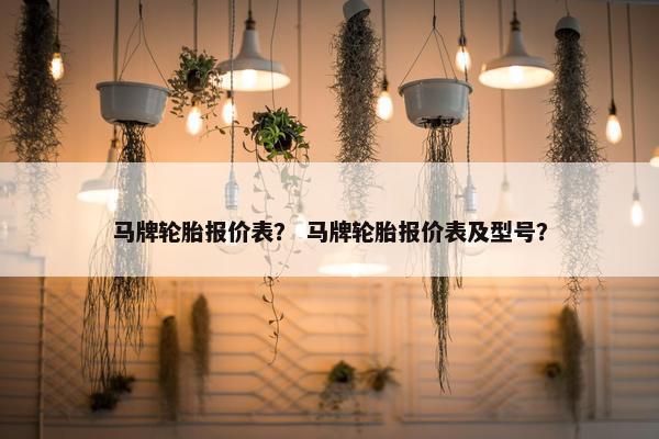 马牌轮胎报价表？ 马牌轮胎报价表及型号？