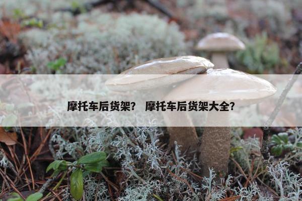 摩托车后货架？ 摩托车后货架大全？
