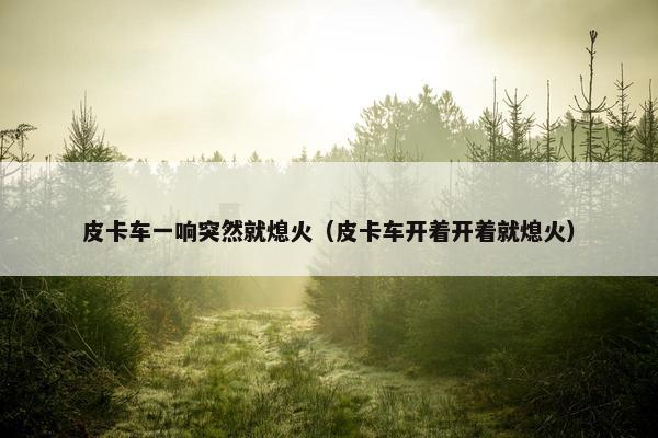 皮卡车一响突然就熄火（皮卡车开着开着就熄火）