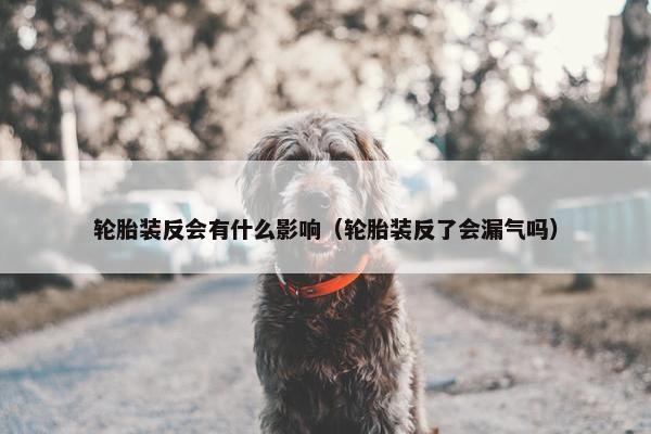 轮胎装反会有什么影响（轮胎装反了会漏气吗）