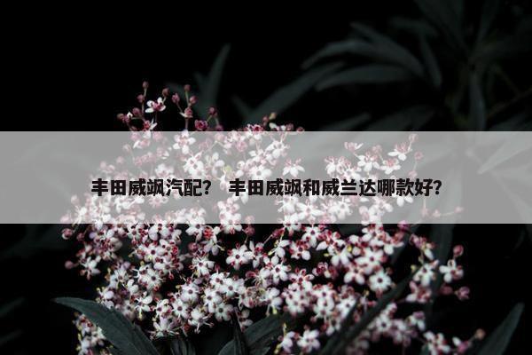 丰田威飒汽配？ 丰田威飒和威兰达哪款好？