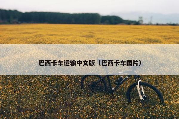 巴西卡车运输中文版（巴西卡车图片）